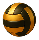 Volleyball icon
