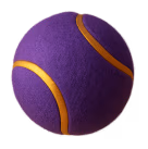 Tennis icon